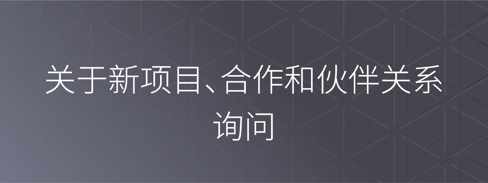 新业务、合作与提携咨询