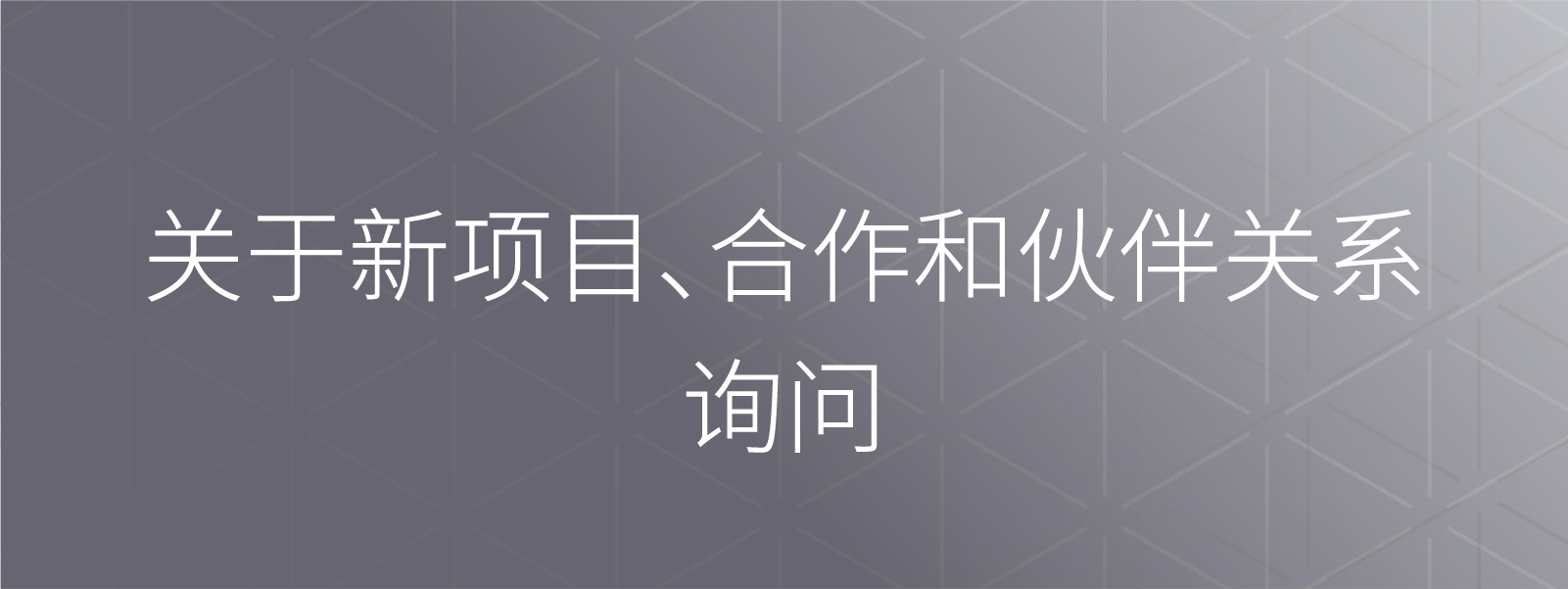 新业务、合作与提携咨询